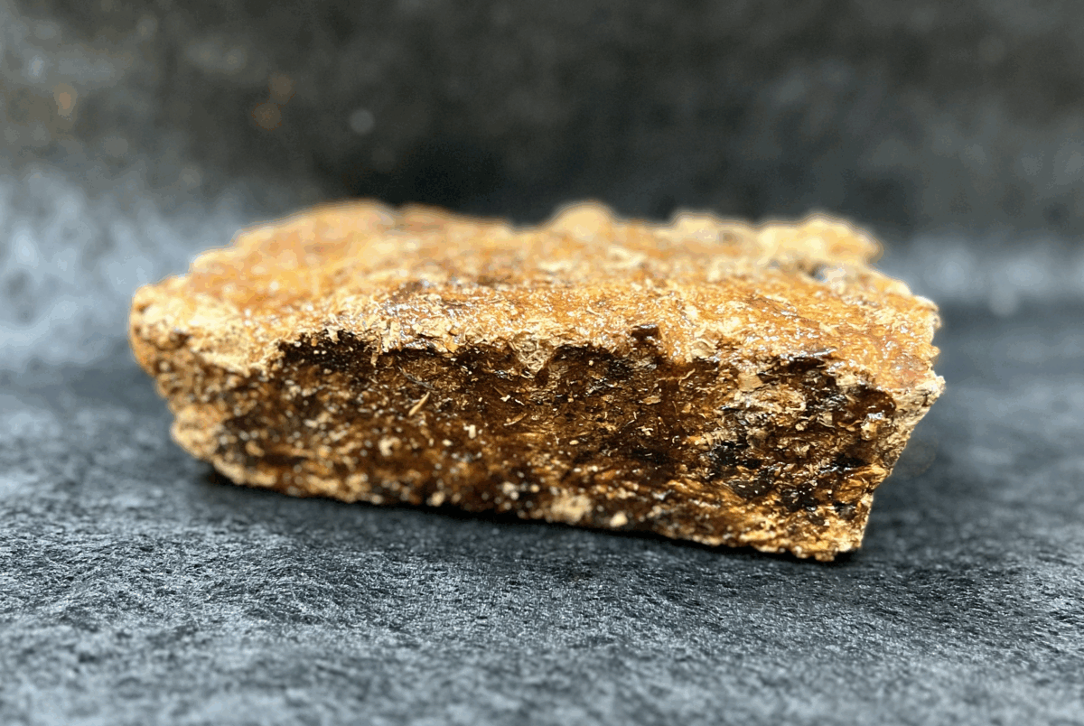 Materiał biokompozytowy wykonany z grzybni.