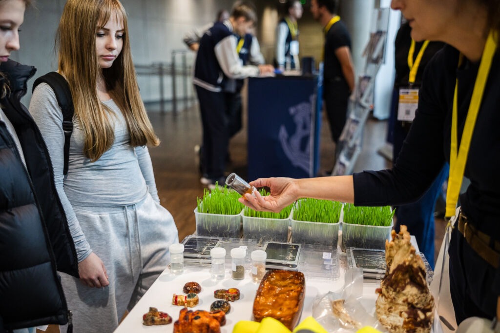 Widok prezentowanych eksponatów